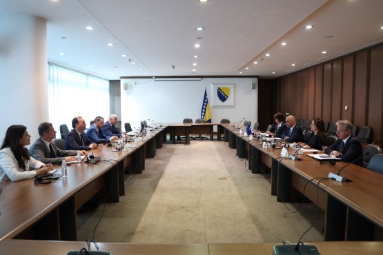 Članovi Delegacije PSBiH u PSVE Saša Magazinović i Branislav Borenović razgovarali sa generalnim sekretarom Vijeća Evrope